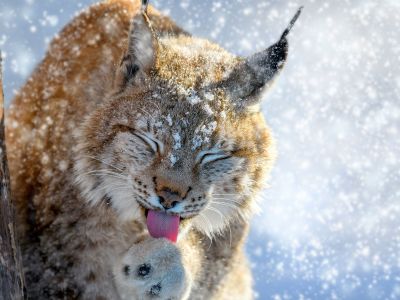 Διάβασε την προσωπική σου πρόβλεψη, για σήμερα 01/12/2025
