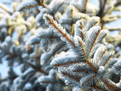 Διάβασε την προσωπική σου πρόβλεψη, για σήμερα 26/12/2025