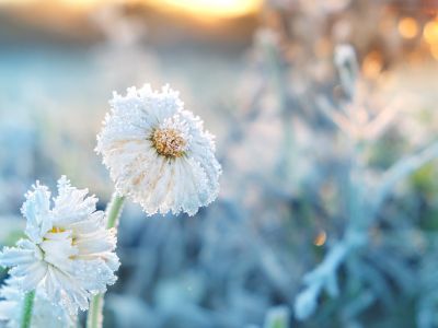 Διάβασε την προσωπική σου πρόβλεψη, για σήμερα 08/12/2025