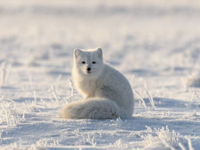 Διάβασε την προσωπική σου πρόβλεψη, για σήμερα 09/12/2025