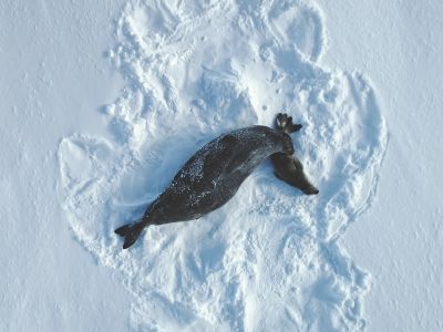 Διάβασε την προσωπική σου πρόβλεψη, για σήμερα 23/12/2025