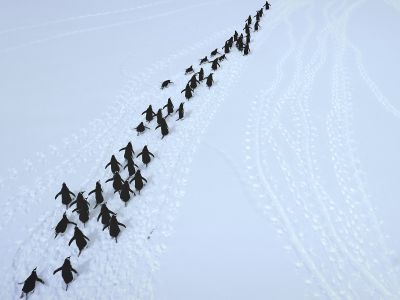 Διάβασε την προσωπική σου πρόβλεψη, για σήμερα 27/12/2025