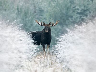 Διάβασε την προσωπική σου πρόβλεψη, για σήμερα 30/12/2025