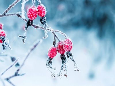 Διάβασε την προσωπική σου πρόβλεψη, για σήμερα 18/12/2025