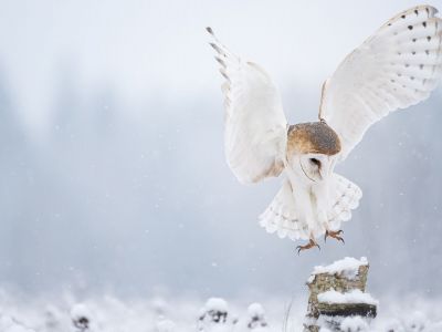 Διάβασε την προσωπική σου πρόβλεψη, για σήμερα 03/12/2025