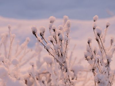 Διάβασε την προσωπική σου πρόβλεψη, για σήμερα 22/12/2025
