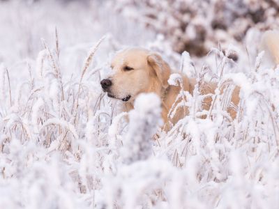 Διάβασε την προσωπική σου πρόβλεψη, για σήμερα 19/12/2025