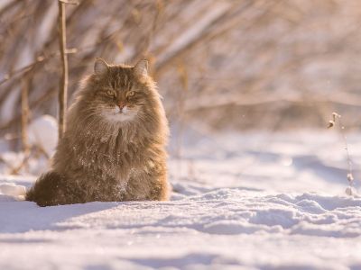 Διάβασε την προσωπική σου πρόβλεψη, για σήμερα 05/12/2025