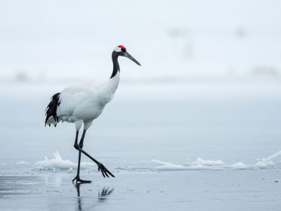 Διάβασε την προσωπική σου πρόβλεψη, για σήμερα 11/12/2025