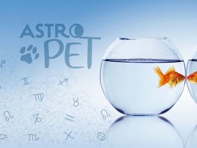 AstroPet από 02/12 έως 08/12: Εβδομαδιαίες προβλέψεις για το κατοικίδιό σου