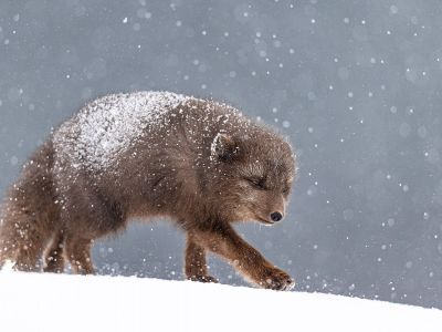Διάβασε την προσωπική σου πρόβλεψη, για σήμερα 21/12/2025