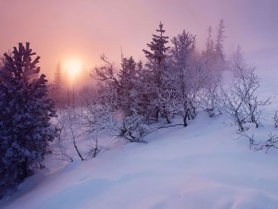 Διάβασε την προσωπική σου πρόβλεψη, για σήμερα 31/12/2025