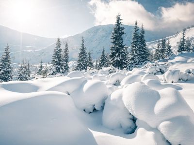 Διάβασε την προσωπική σου πρόβλεψη, για σήμερα 20/12/2025