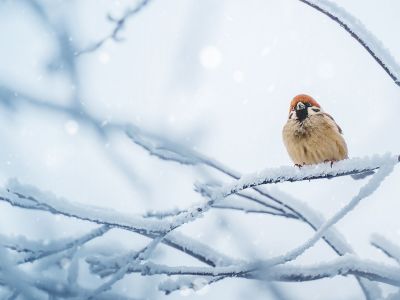 Διάβασε την προσωπική σου πρόβλεψη, για σήμερα 13/12/2025
