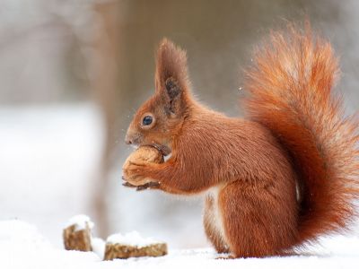 Διάβασε την προσωπική σου πρόβλεψη, για σήμερα 15/12/2025