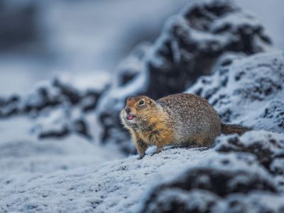 Διάβασε την προσωπική σου πρόβλεψη, για σήμερα 17/12/2025