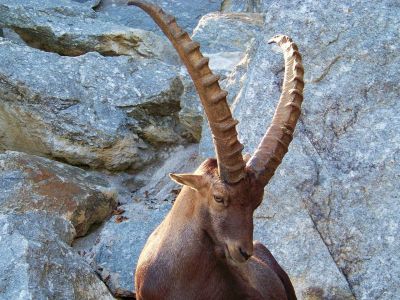 Ζώδια Σήμερα 22/12: Ήλιος στον Αιγόκερω – Καινούργιοι στόχοι