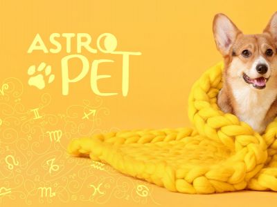 AstroPet από 09/12 έως 15/12: Εβδομαδιαίες προβλέψεις για το κατοικίδιό σου
