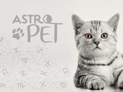 AstroPet από 16/12 έως 22/12: Εβδομαδιαίες προβλέψεις για το κατοικίδιό σου