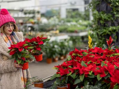 Ημερήσιες Προβλέψεις για όλα τα Ζώδια, 03/01/26: Διαχειρίσου τις προκλήσεις με ψυχραιμία