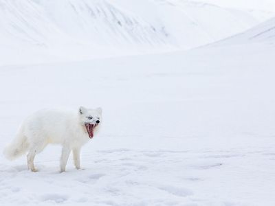 Διάβασε την προσωπική σου πρόβλεψη, για σήμερα 30/01/2026