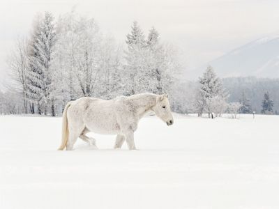 Διάβασε την προσωπική σου πρόβλεψη, για σήμερα 22/01/2026