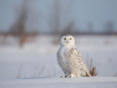 Διάβασε την προσωπική σου πρόβλεψη, για σήμερα 28/01/2026