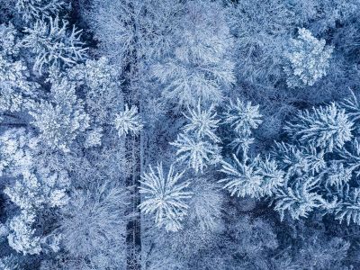 Διάβασε την προσωπική σου πρόβλεψη, για σήμερα 21/01/2026