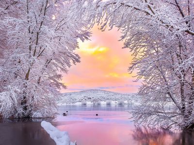 Διάβασε την προσωπική σου πρόβλεψη, για σήμερα 15/01/2026