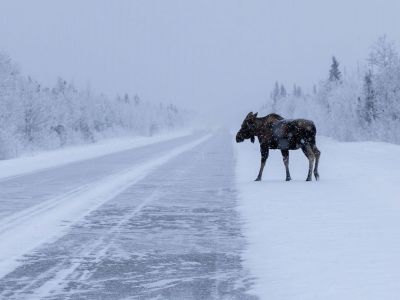 Διάβασε την προσωπική σου πρόβλεψη, για σήμερα 26/01/2026