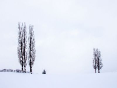Διάβασε την προσωπική σου πρόβλεψη, για σήμερα 31/01/2026
