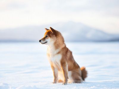 Διάβασε την προσωπική σου πρόβλεψη, για σήμερα 12/01/2026