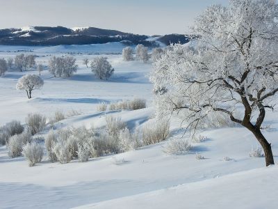 Διάβασε την προσωπική σου πρόβλεψη, για σήμερα 13/01/2026