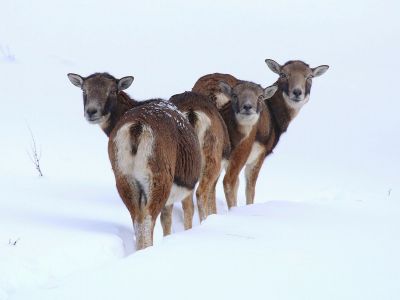 Διάβασε την προσωπική σου πρόβλεψη, για σήμερα 16/01/2026