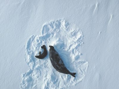 Διάβασε την προσωπική σου πρόβλεψη, για σήμερα 14/01/2026