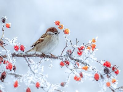 Διάβασε την προσωπική σου πρόβλεψη, για σήμερα 06/01/2026