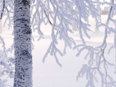 Διάβασε την προσωπική σου πρόβλεψη, για σήμερα 03/01/2026