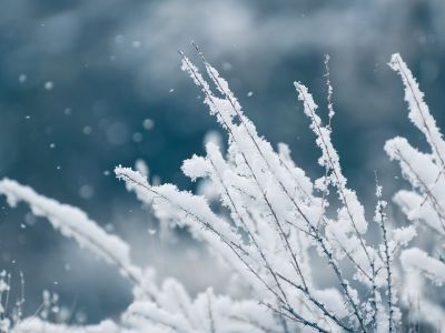 Διάβασε την προσωπική σου πρόβλεψη, για σήμερα 17/01/2026