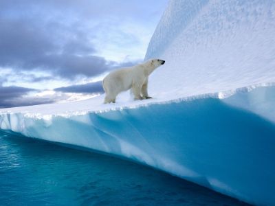 Διάβασε την προσωπική σου πρόβλεψη, για σήμερα 04/01/2026