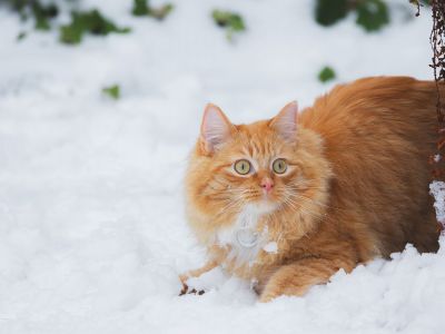Διάβασε την προσωπική σου πρόβλεψη, για σήμερα 08/01/2026