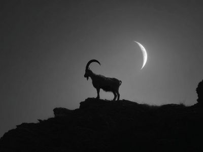 Ζώδια Σήμερα 18/01: Νέα Σελήνη στον Αιγόκερω – Ανάλαβε δεσμεύσεις