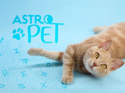 AstroPet από 20/01 έως 26/01: Εβδομαδιαίες προβλέψεις για το κατοικίδιό σου