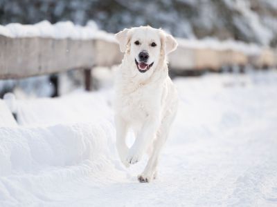 Διάβασε την προσωπική σου πρόβλεψη, για σήμερα 07/02/2026