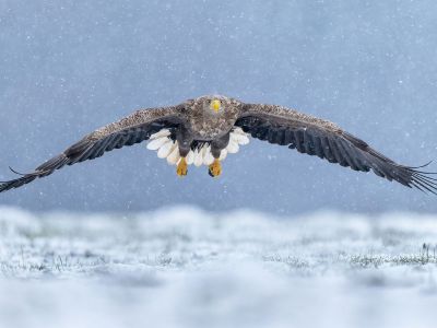 Διάβασε την προσωπική σου πρόβλεψη, για σήμερα 01/02/2026