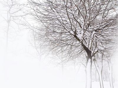 Διάβασε την προσωπική σου πρόβλεψη, για σήμερα 02/02/2026