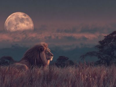 Πανσέληνος στον Λέοντα: Λάμψη, πάθος και αποκαλύψεις για όλα τα ζώδια