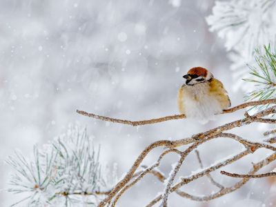 Διάβασε την προσωπική σου πρόβλεψη, για σήμερα 09/02/2026