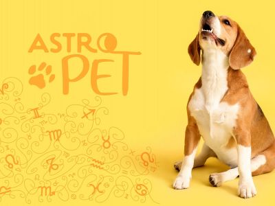 AstroPet από 03/02 έως 09/02: Εβδομαδιαίες προβλέψεις για το κατοικίδιό σου