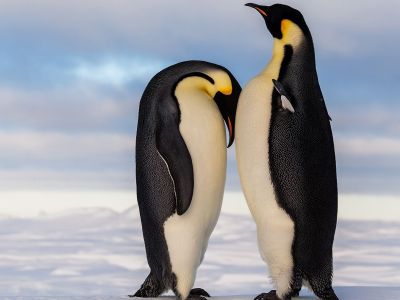 Διάβασε την προσωπική σου πρόβλεψη, για σήμερα 11/02/2026