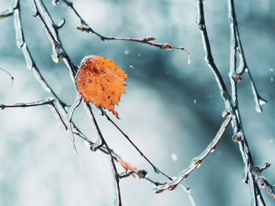 Διάβασε την προσωπική σου πρόβλεψη, για σήμερα 12/02/2026
